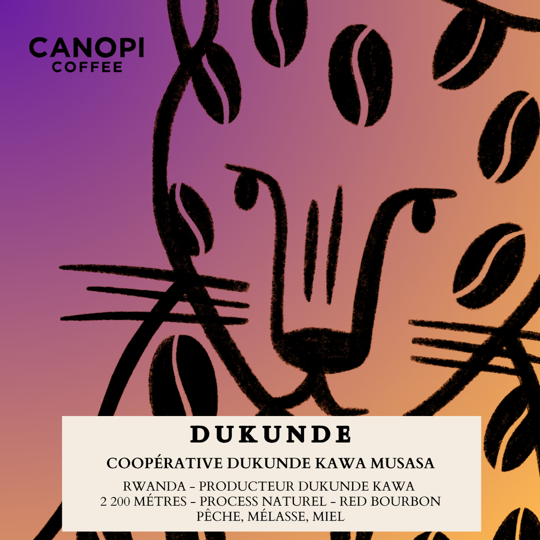 Canopi Coffee photo 2