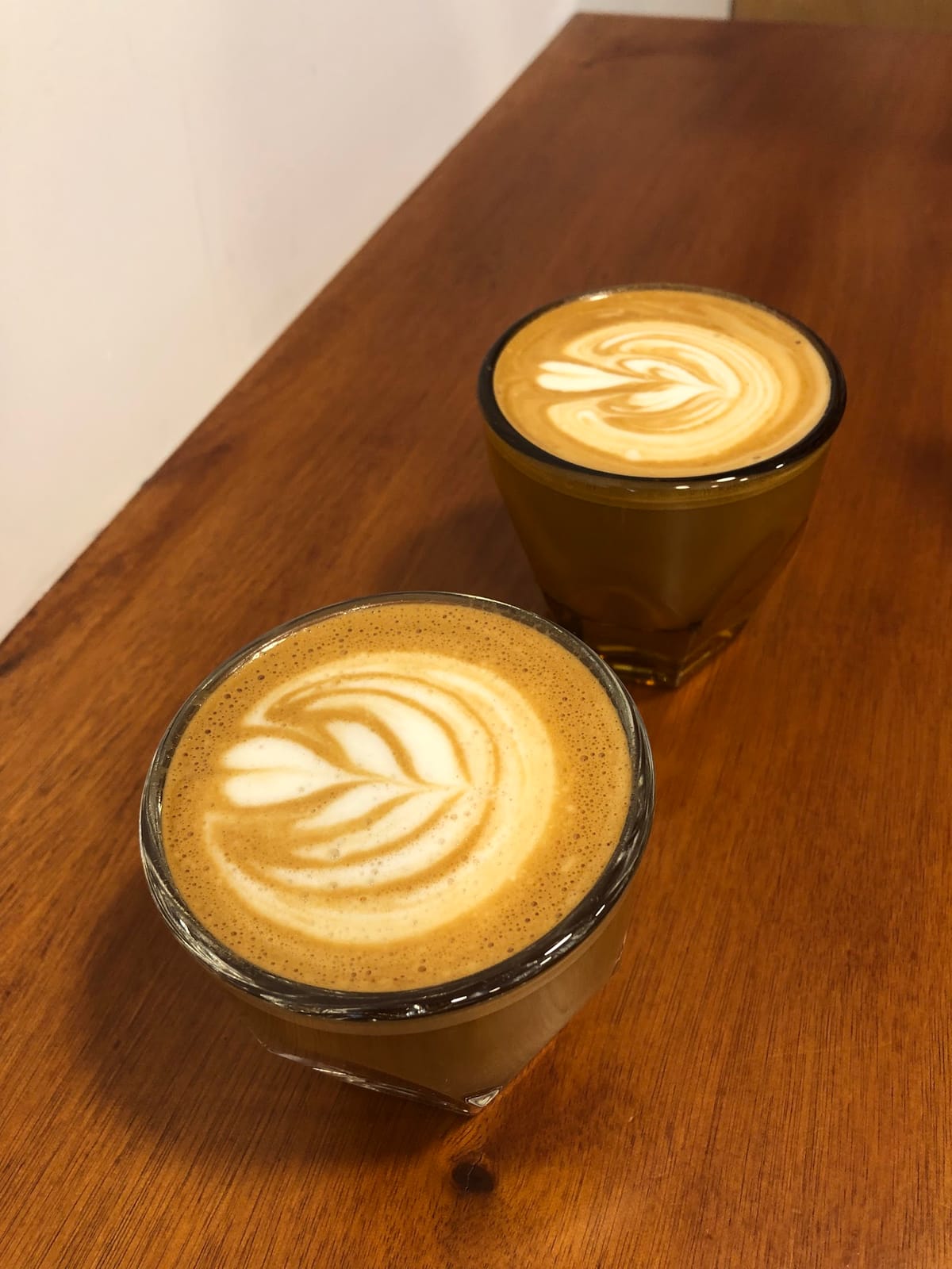 TYPICA SPECIALTY COFFEE