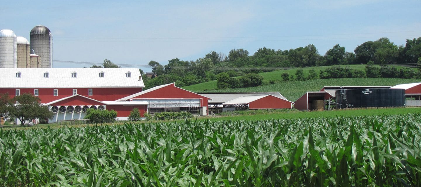 Fox Meadows Creamery