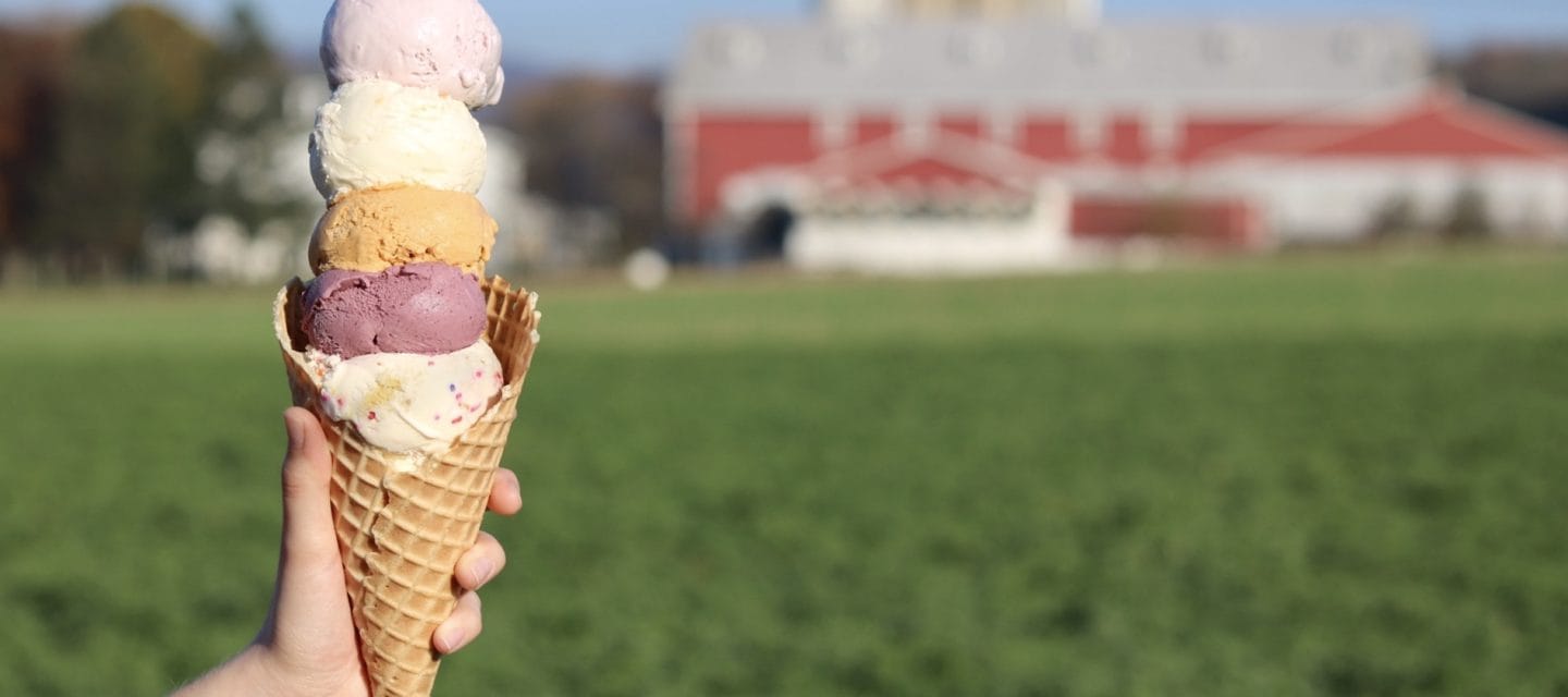 Fox Meadows Creamery photo 5
