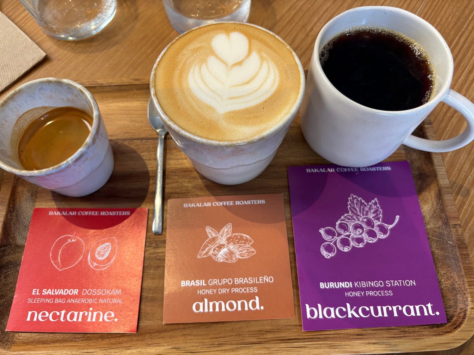 Swallow - Specialty Coffee