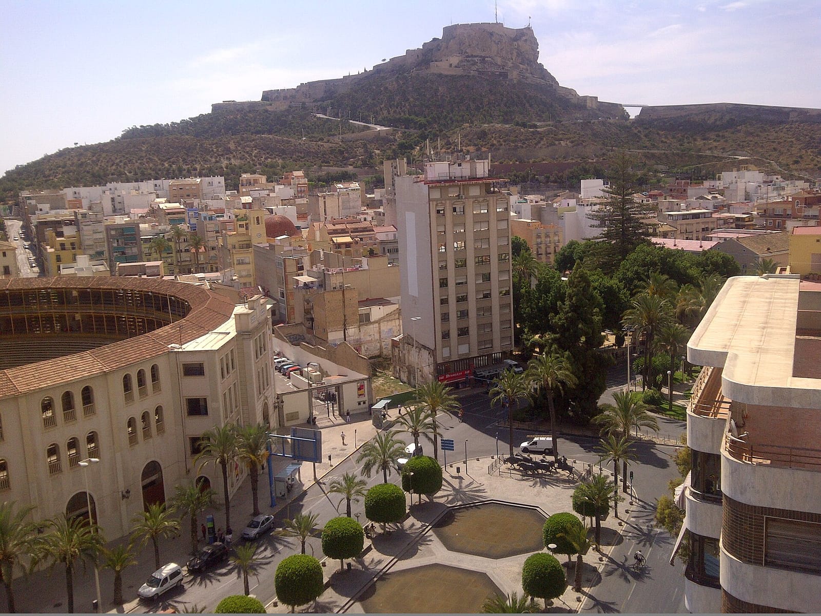Coffee Berry Specialty Coffee & Brunch Alicante photo 3