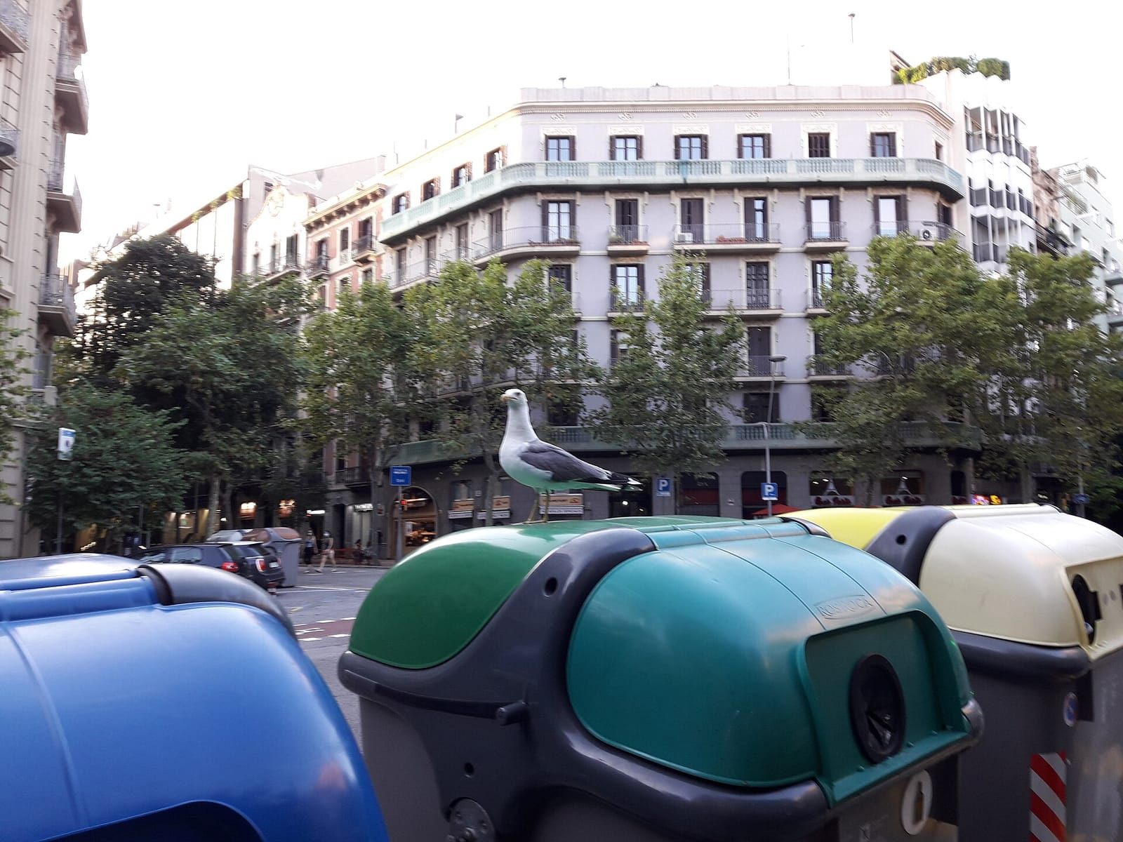 180 paris cafe photo 3