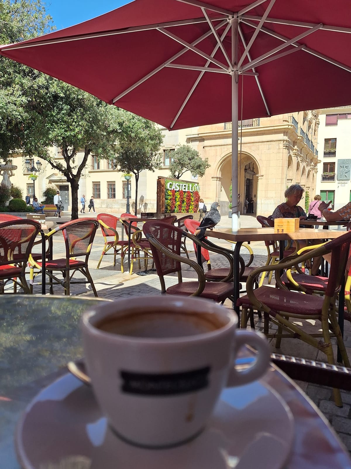 Cafe Casa Ana