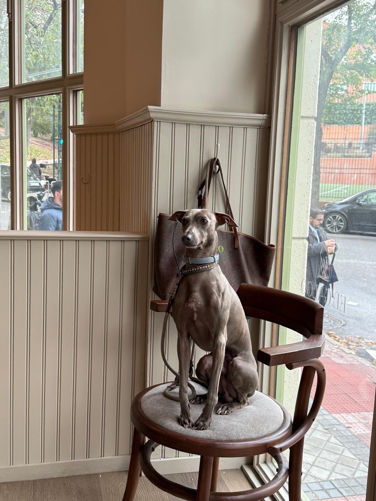 El Galgo Coffee & Wine photo 8