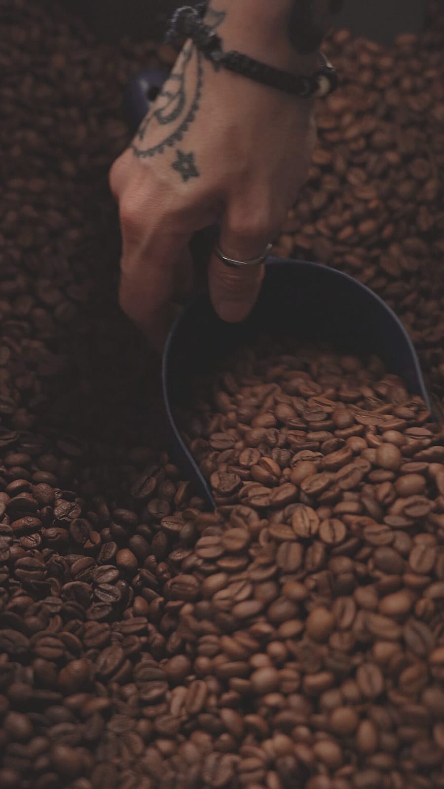 Hidden Coffee Roasters - El Born photo 6
