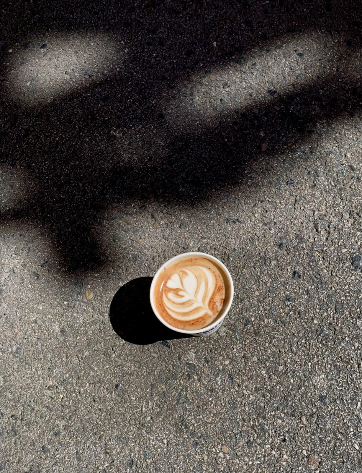 Mitzi Coffee & Brunch photo 4