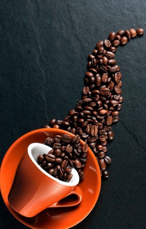 Cafe Origen