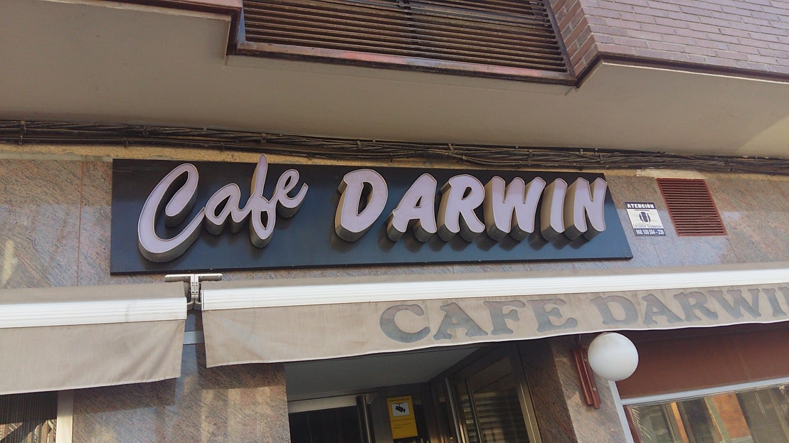 Cafe Darwin