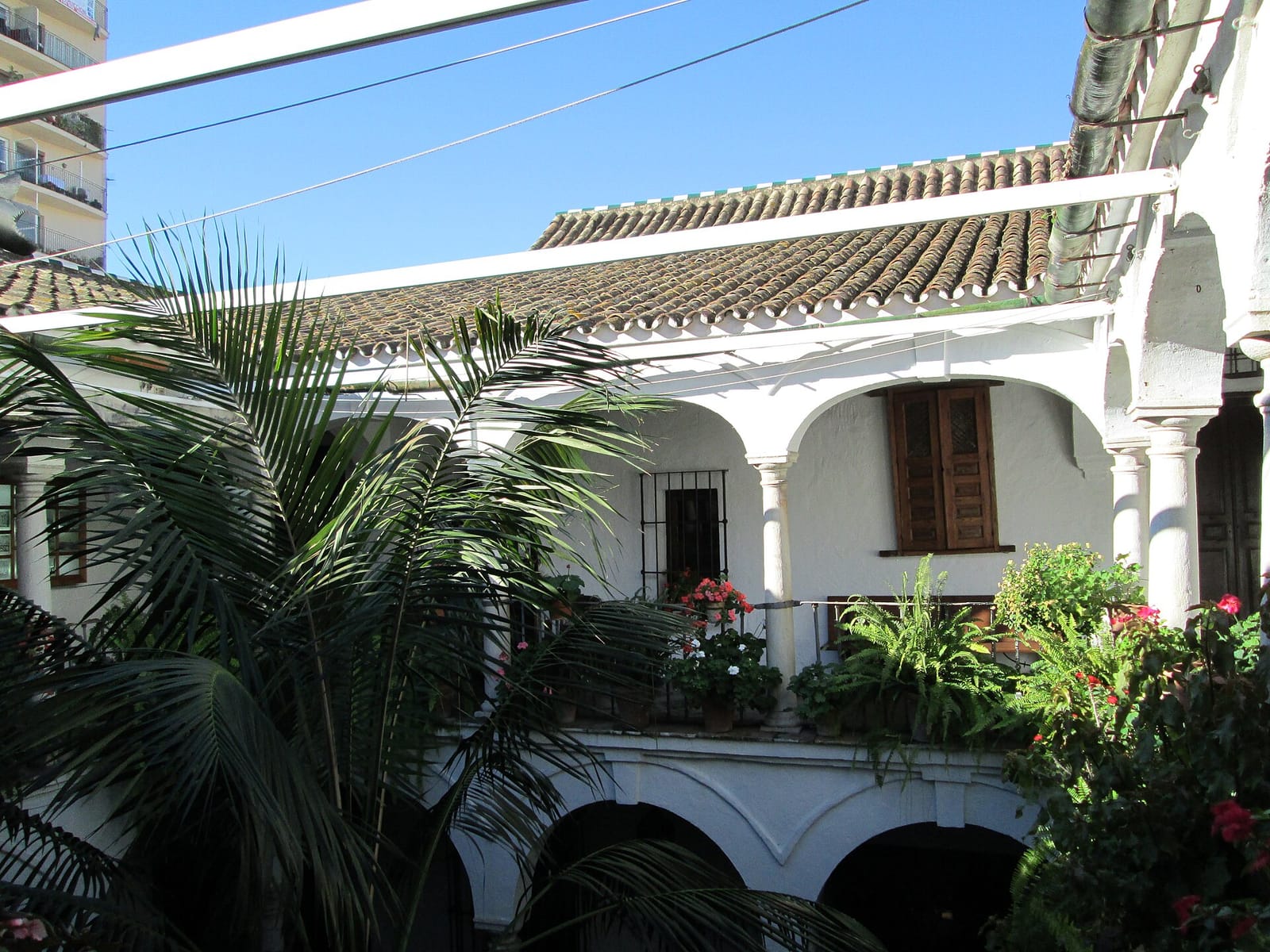 Santa Camas photo 3