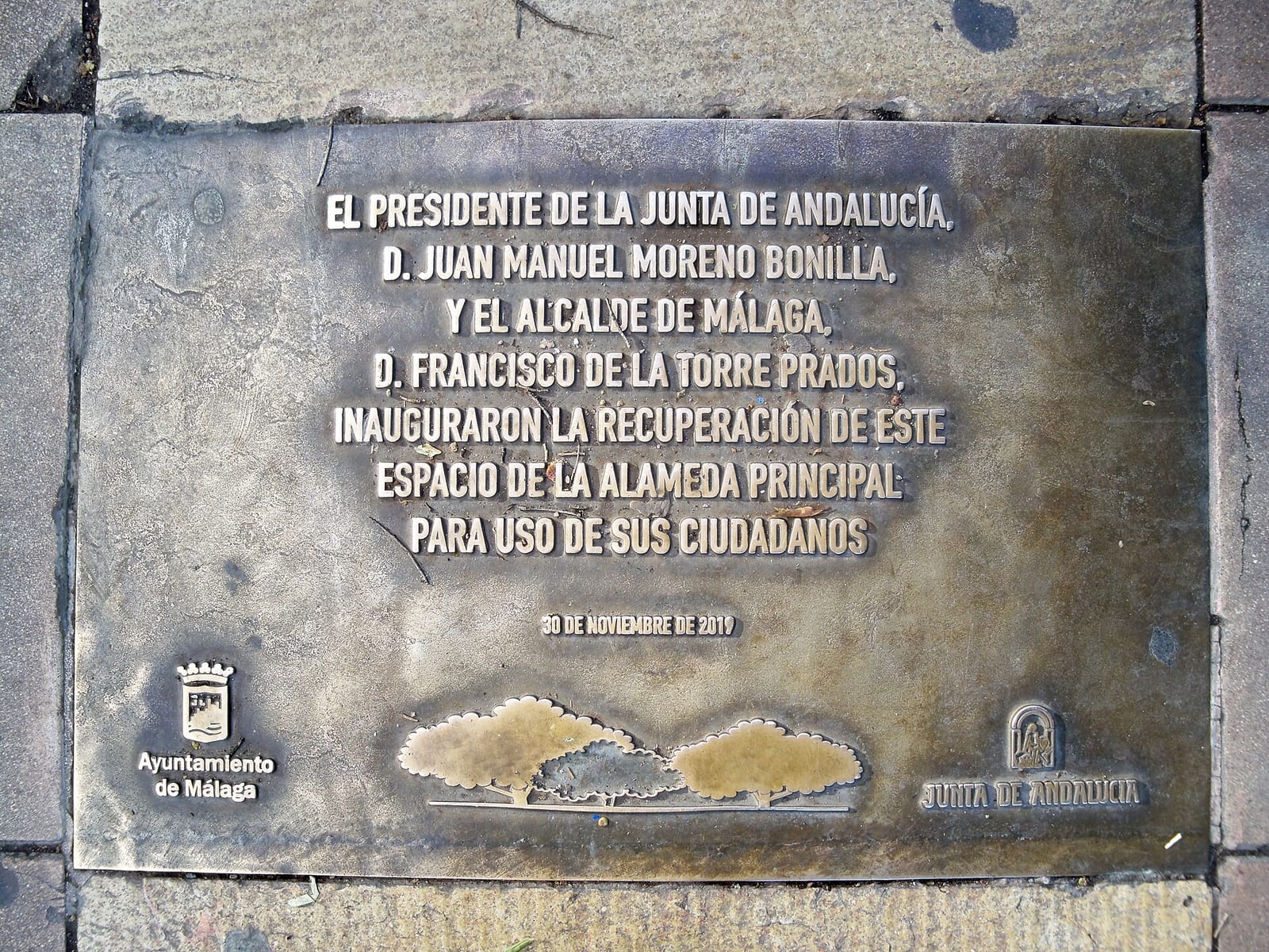 Julieta Coffee photo 3
