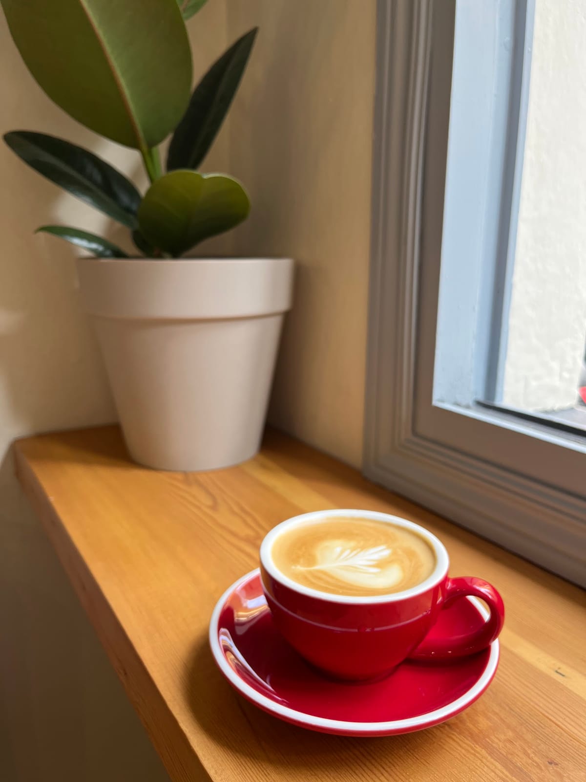 LE CHAT SPECIALTY COFFEE SHOP