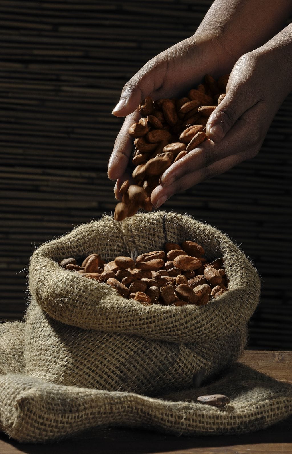 Coffee Tools Sat & Roaster photo 4