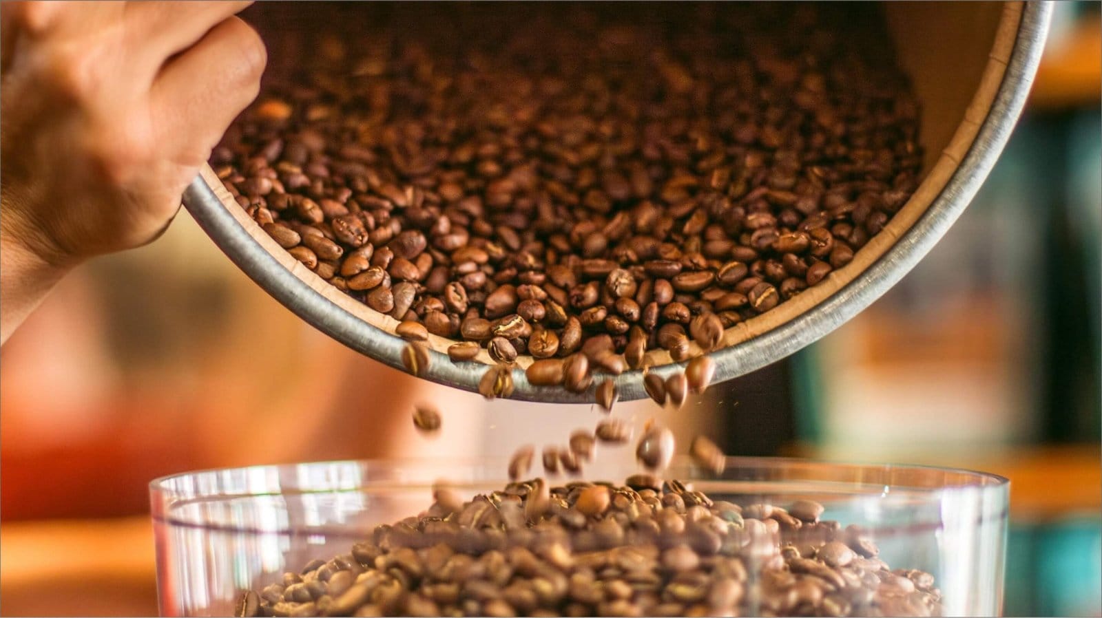 Noti Specialty Coffee Shop photo 3