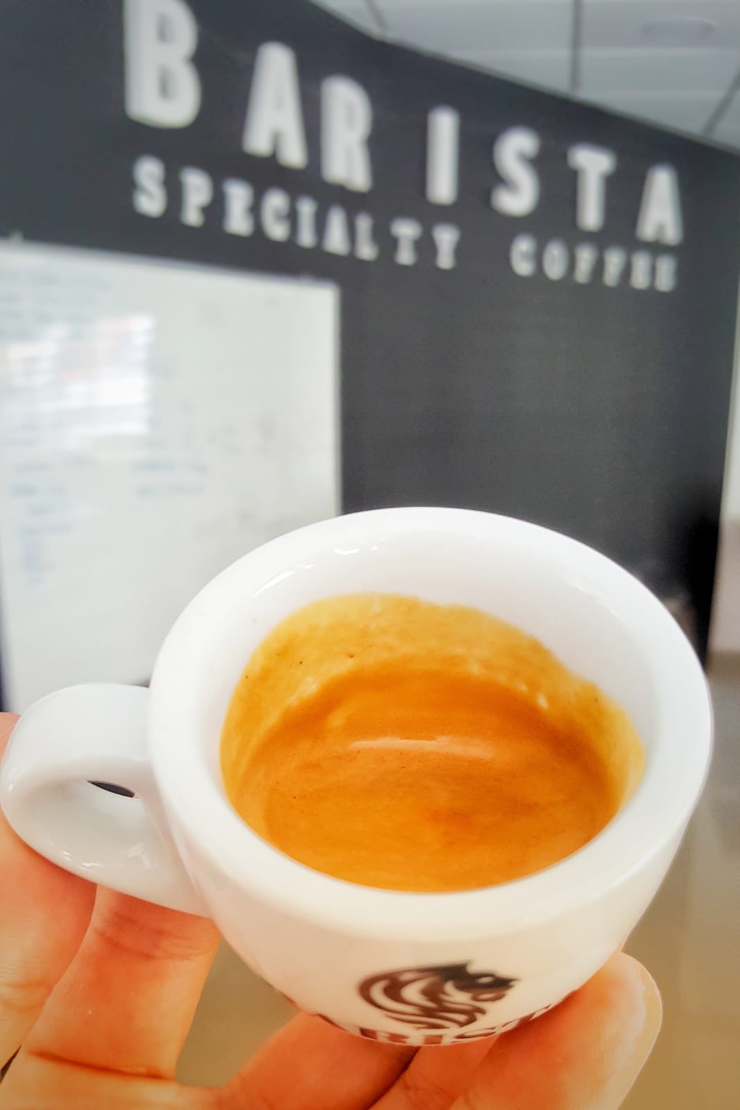 Barista specialty coffee roaster