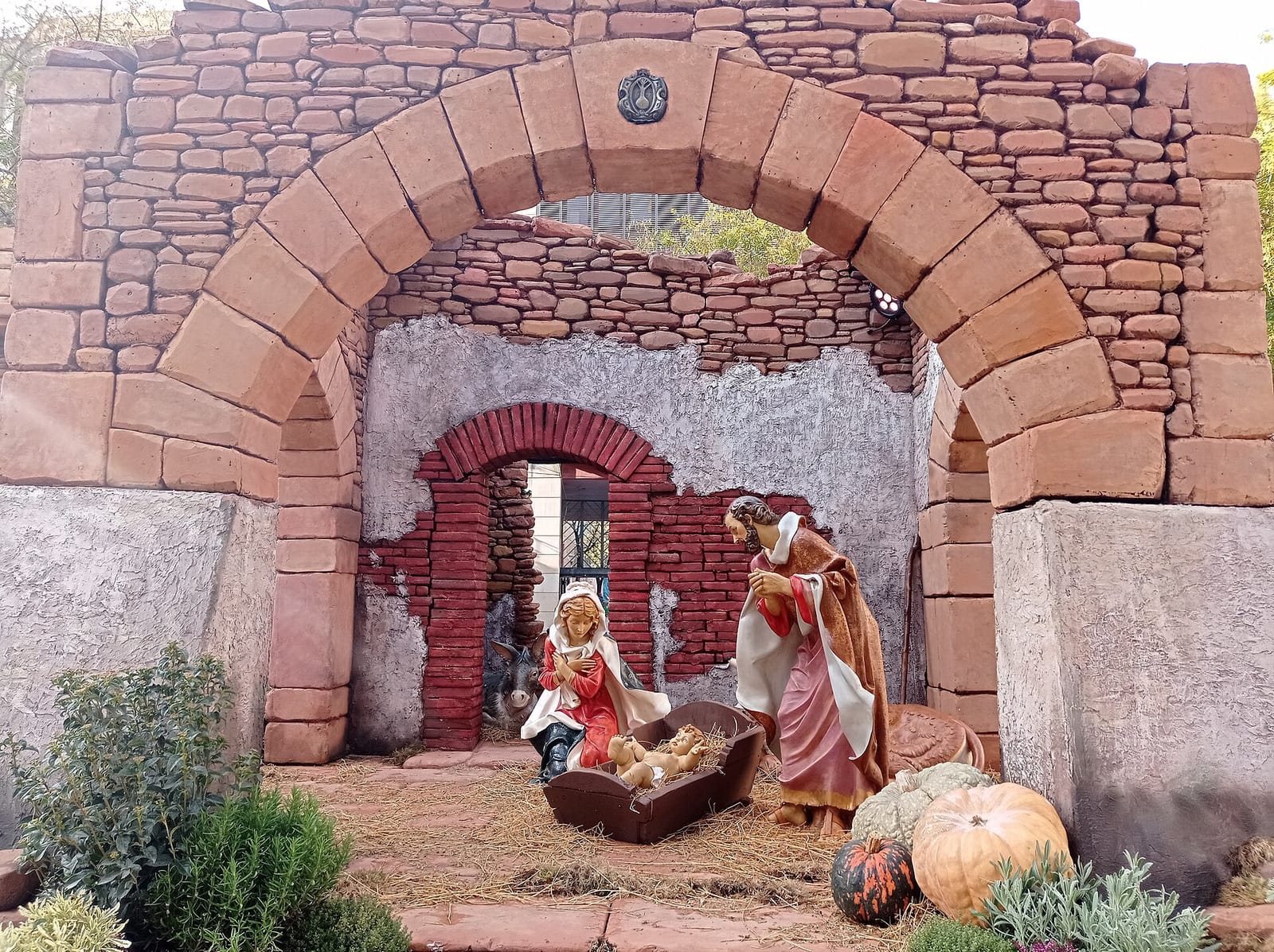 Coffee & Yan - Café Leín photo 3