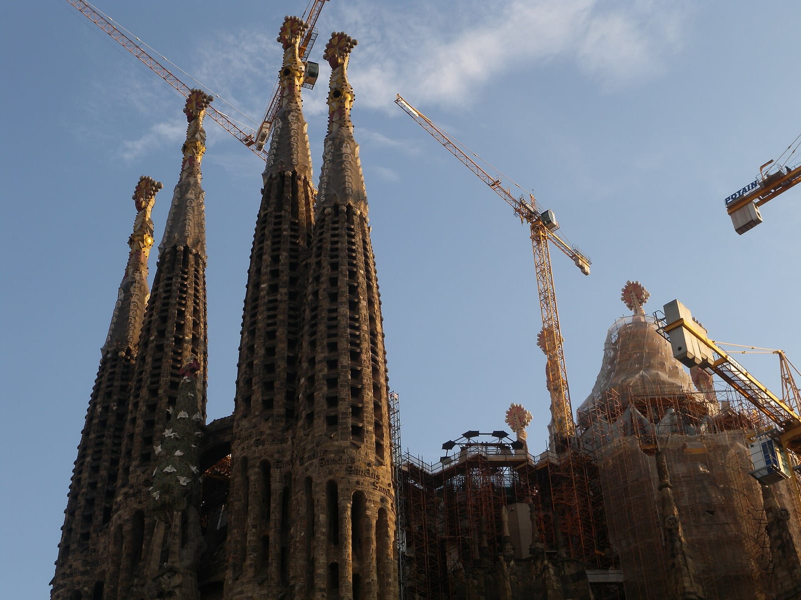 Café Fargo Specialty Coffee Sagrada Familia photo 6