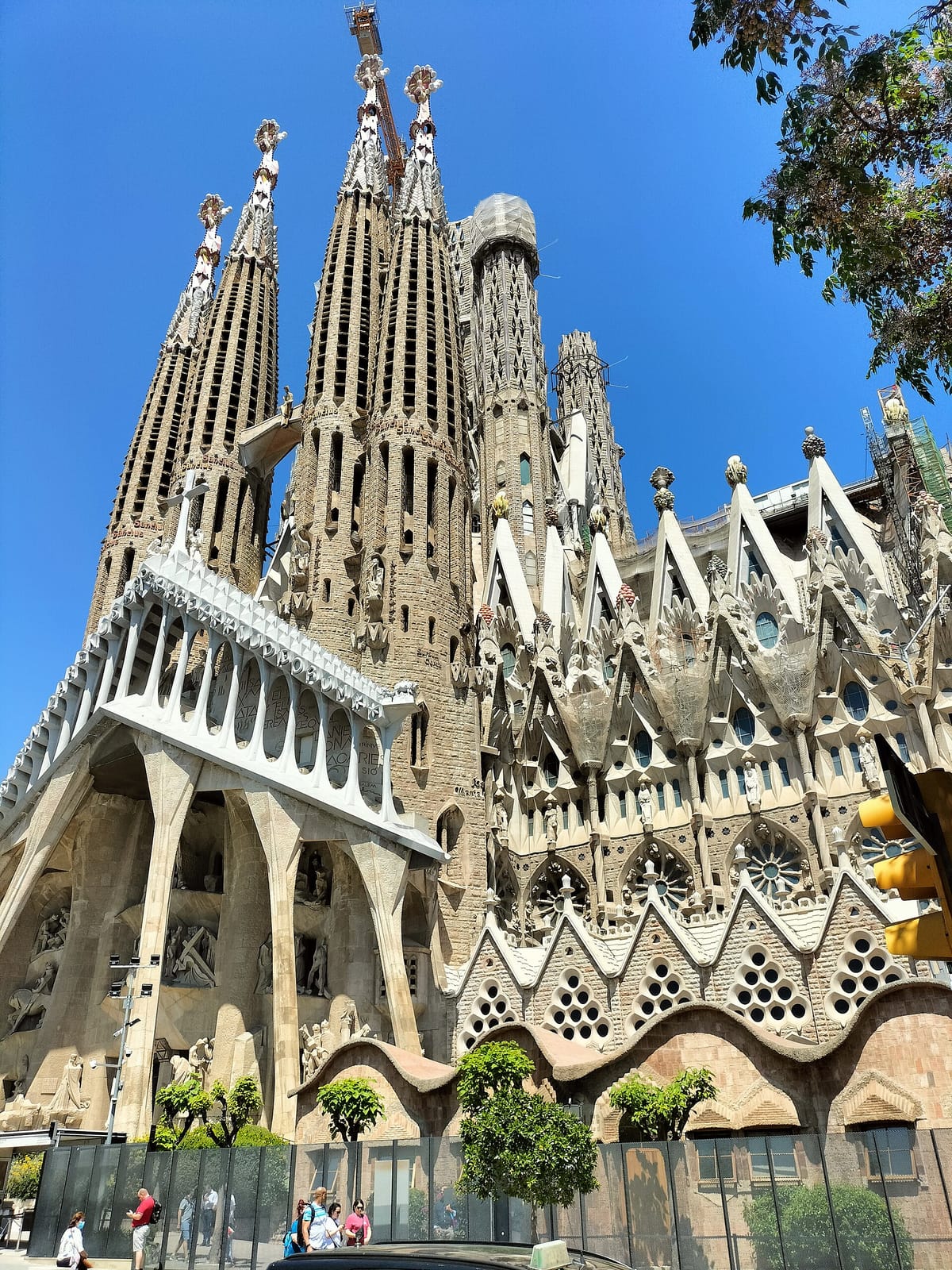Café Fargo Specialty Coffee Sagrada Familia photo 7