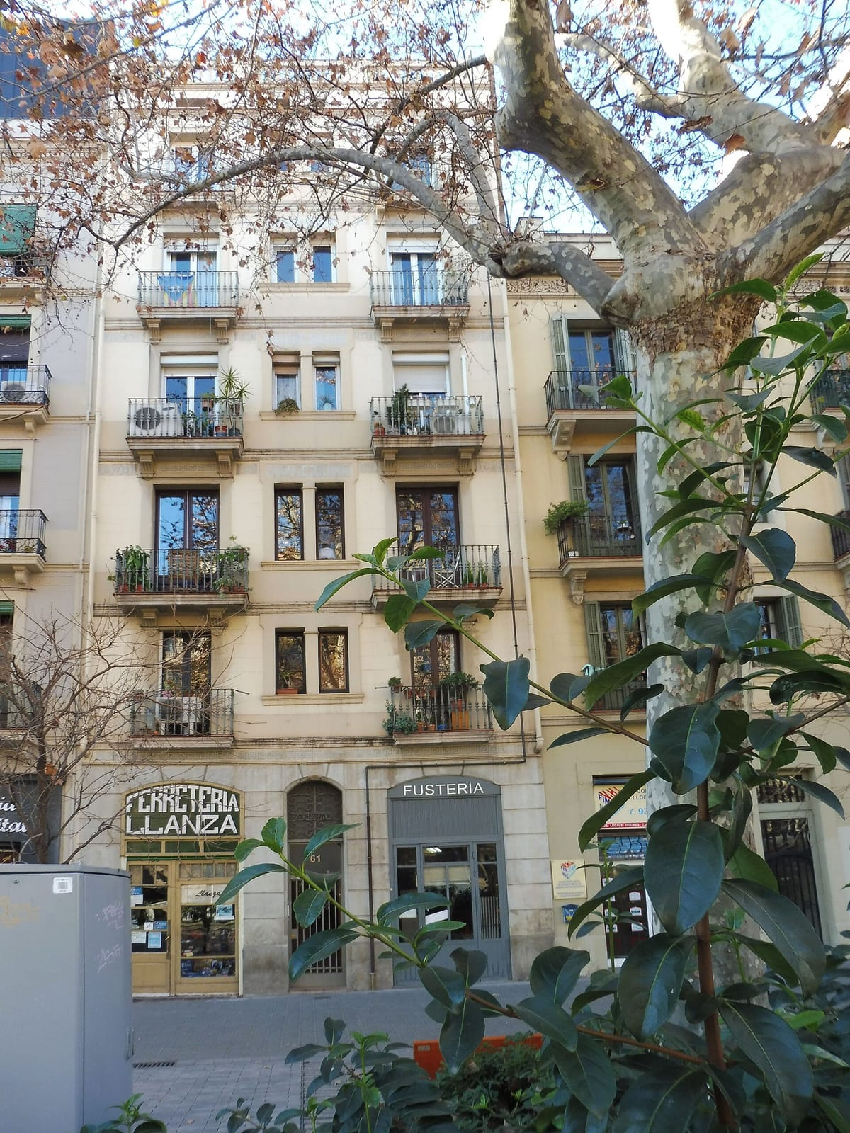 Syra Coffee - Passeig Sant Joan photo 4