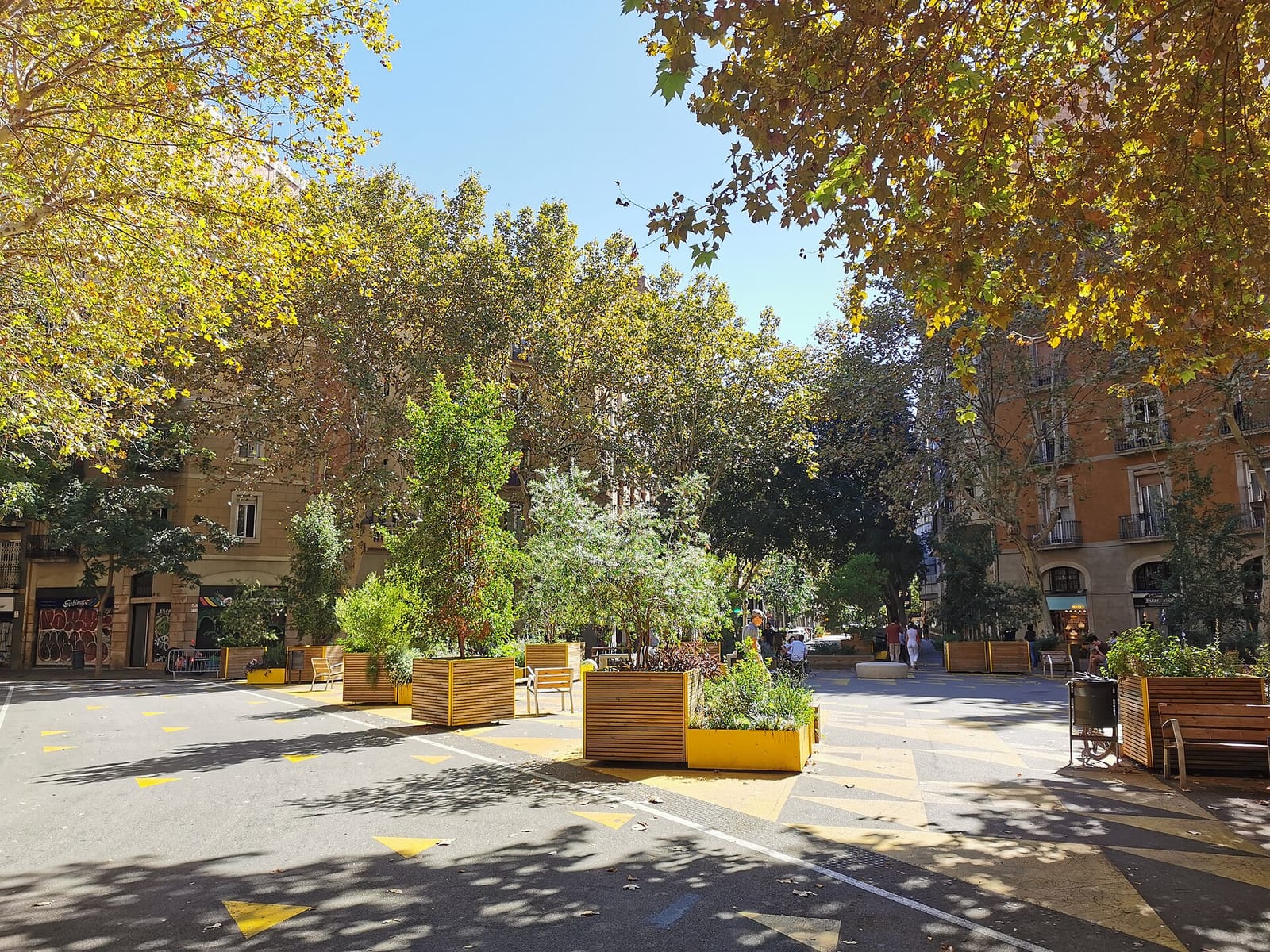 Il Capriccio del Caffè photo 3