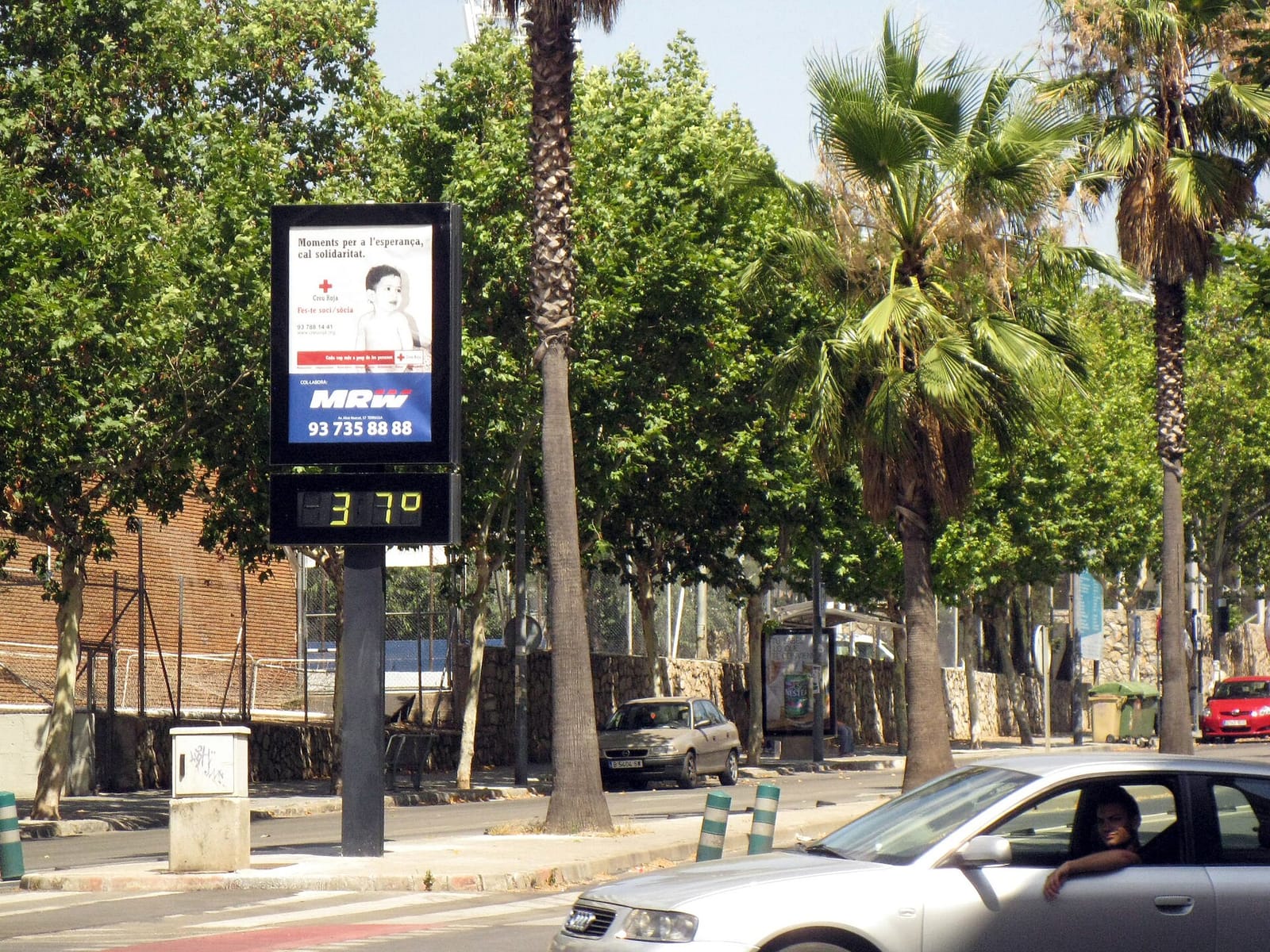 Coffee Rambla photo 5