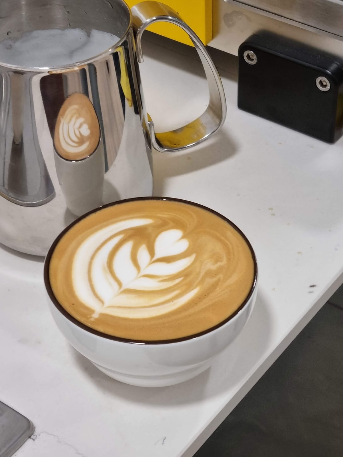 TYC COFFEE ROASTERY