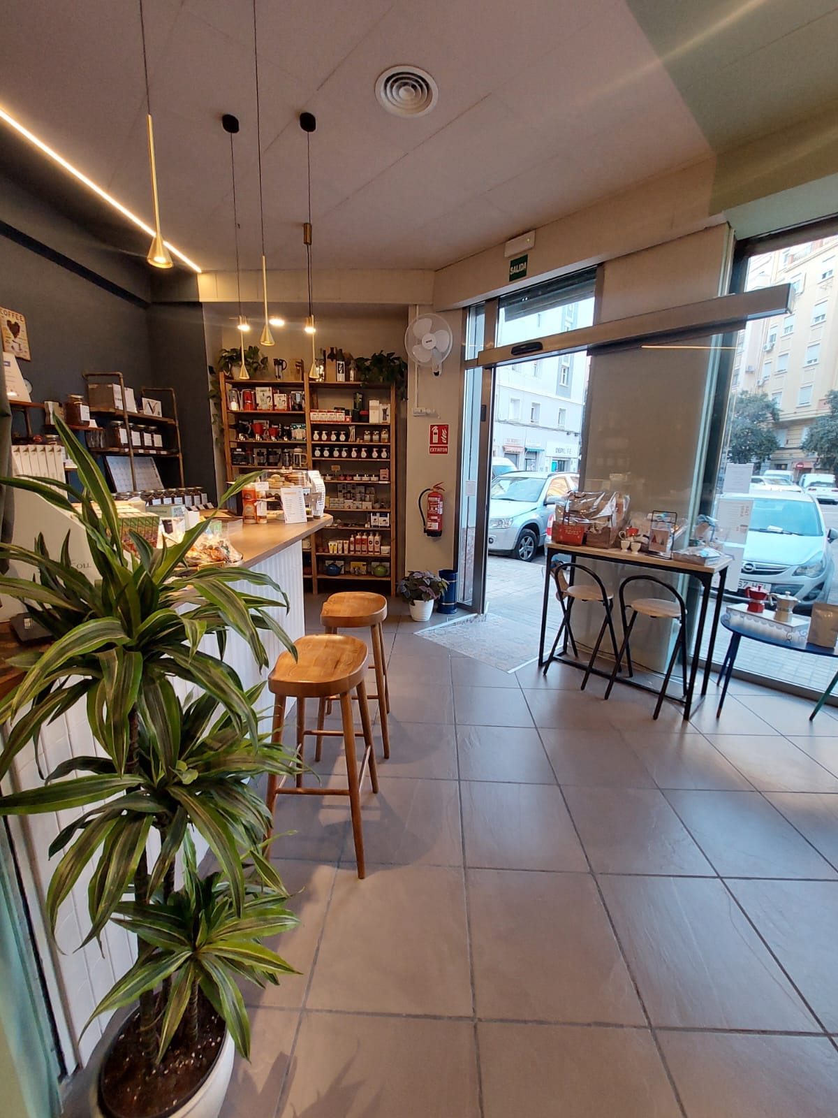 Cafeto y Camellia photo 2