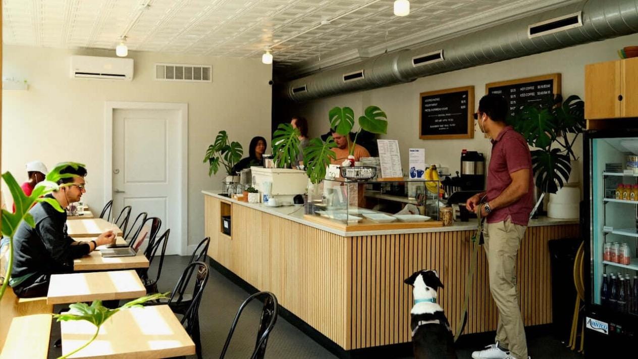 ReAnimator Coffee