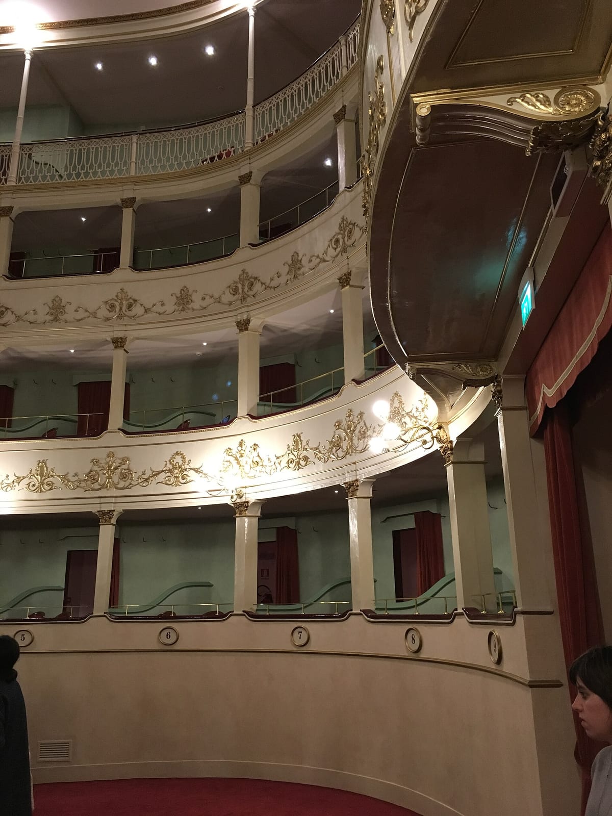 Caffè del Teatro Niccolini photo 2