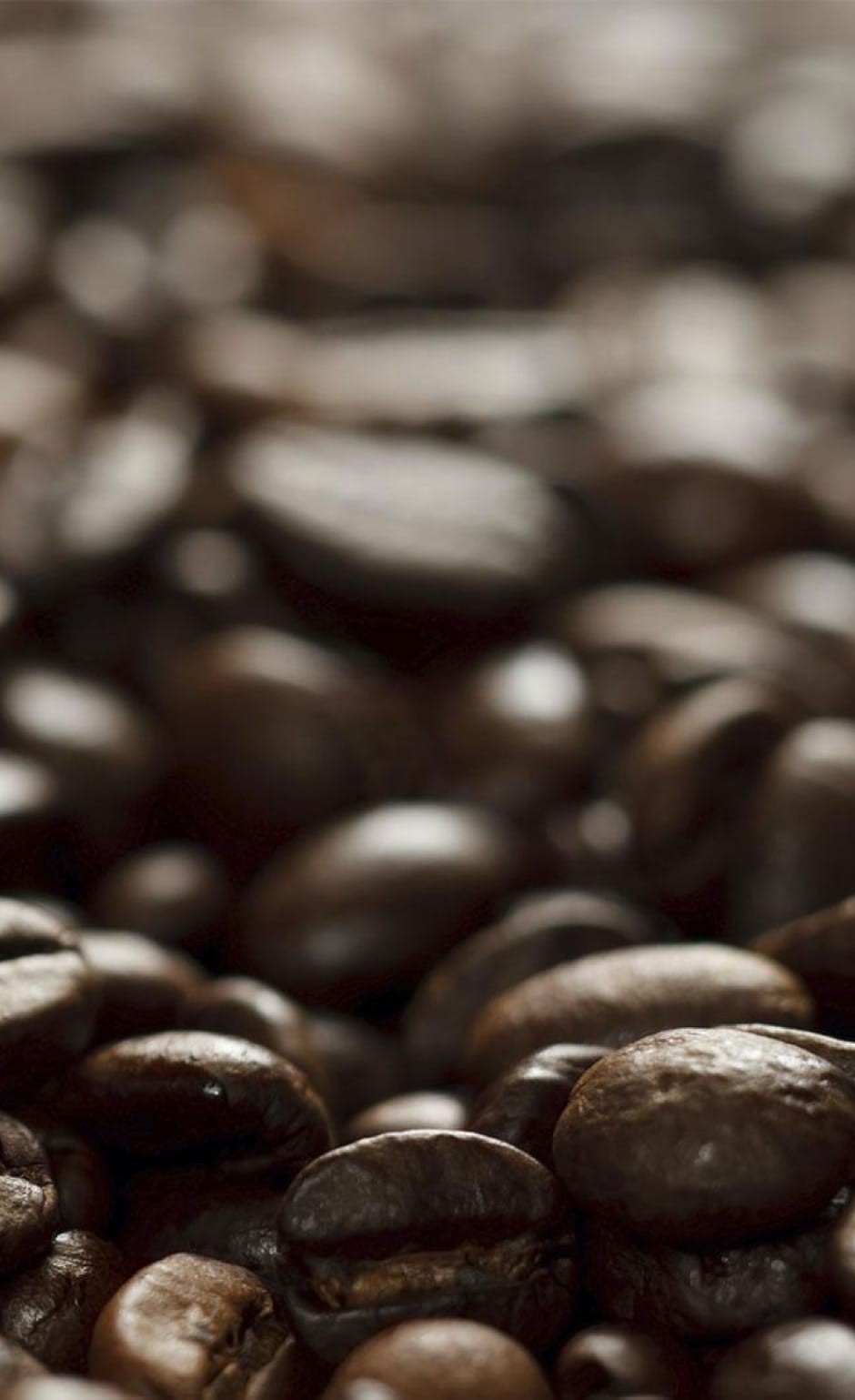 Torrefazione Caffè Perù