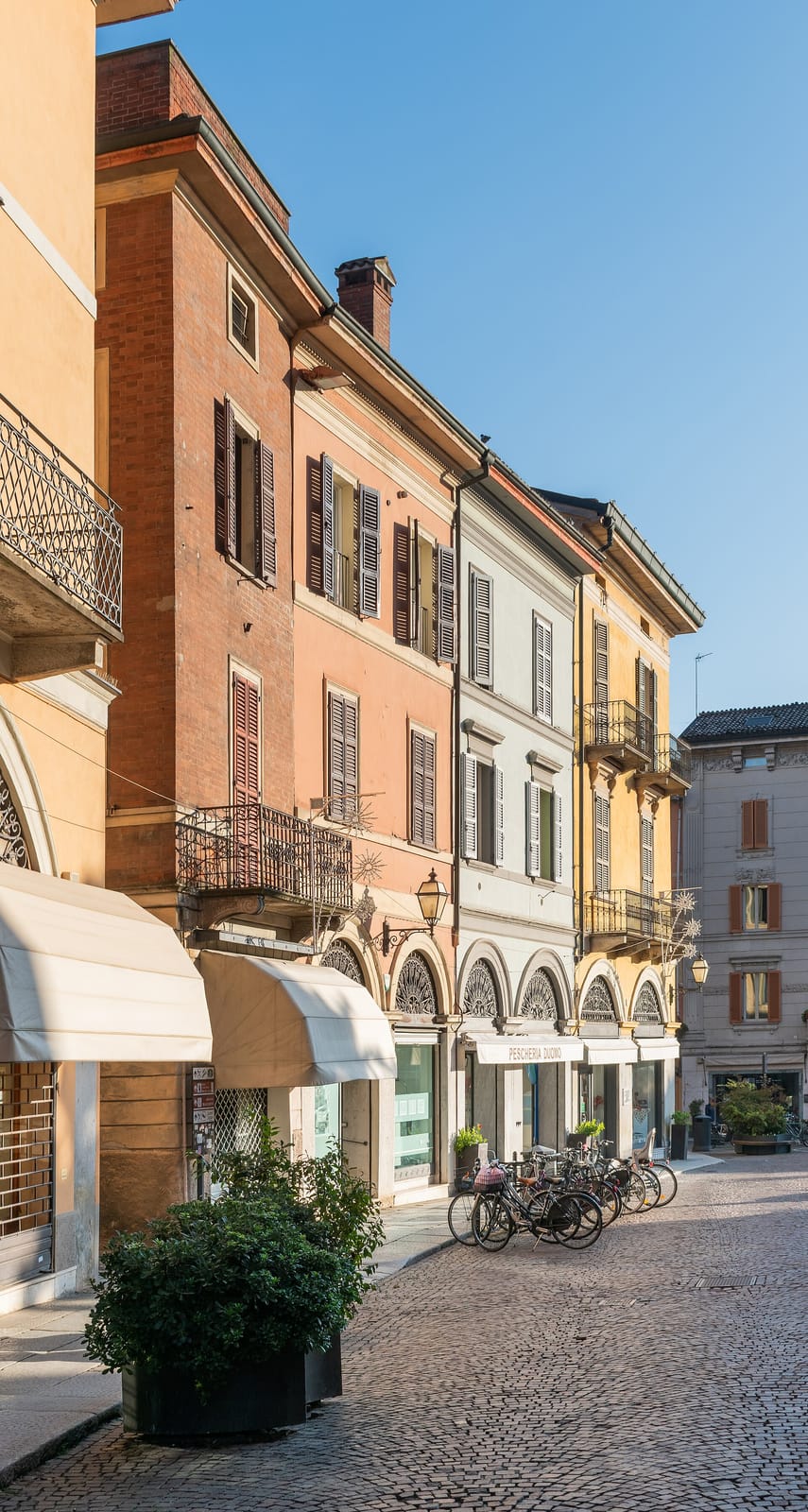 Caffè Torrazzo FrancyLuca photo 2