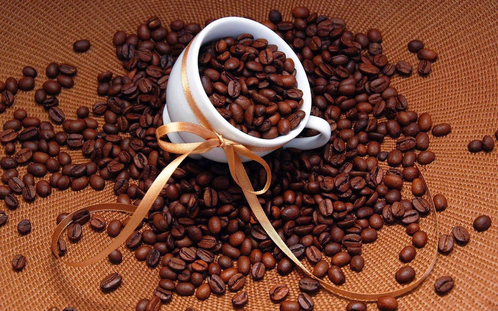 Coffee Experience Genova