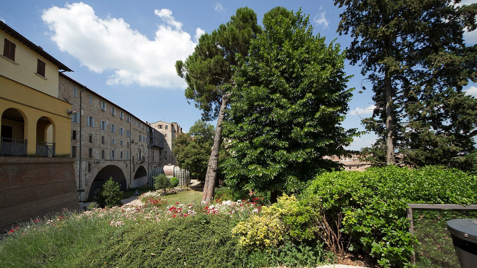 Caffè Cellini photo 4
