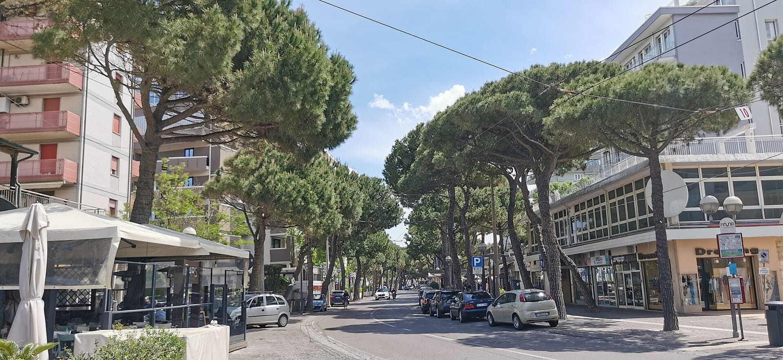 Caffè Pascucci Viale Vespucci photo 3