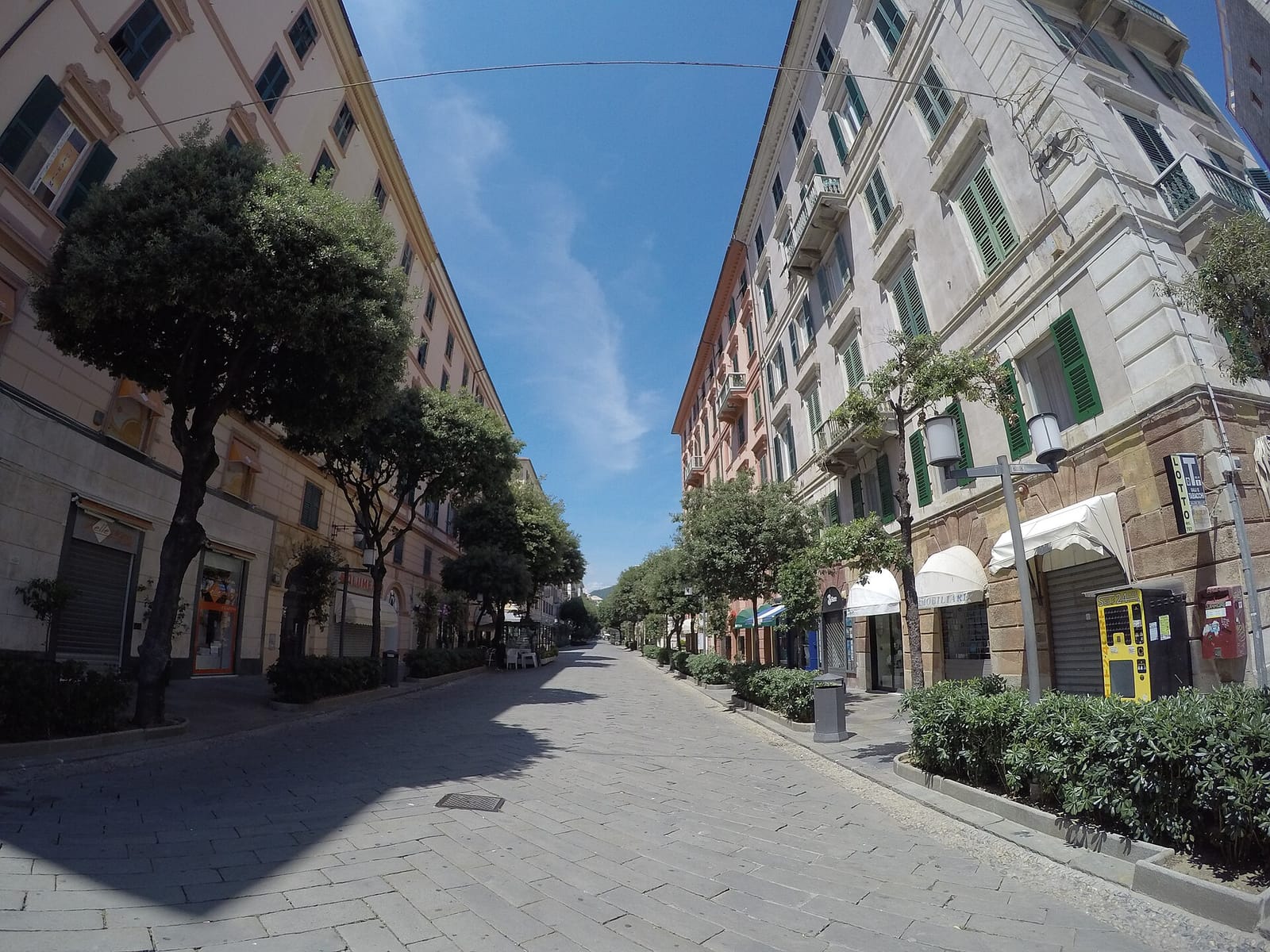 Caffè dei Papi photo 4