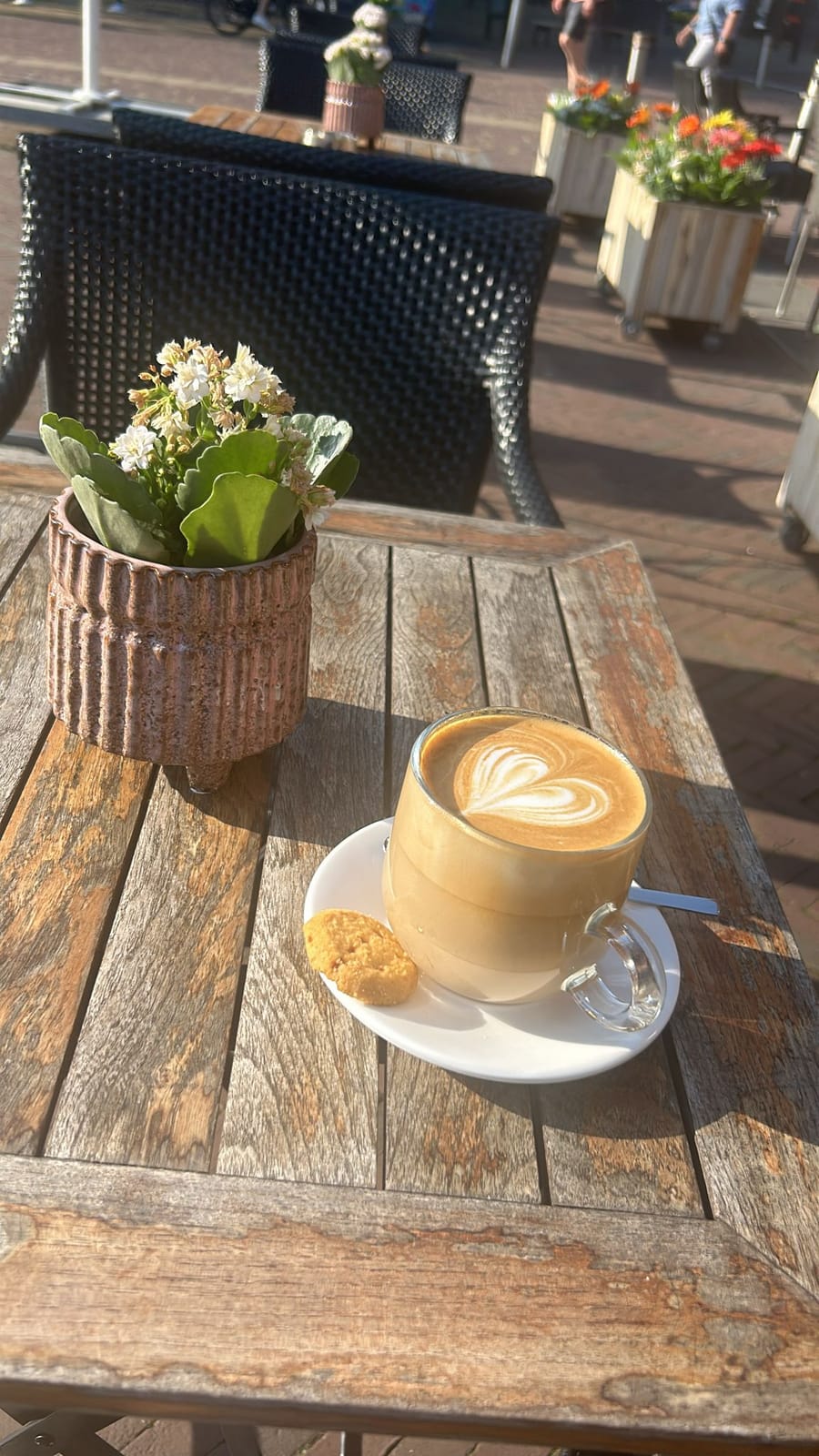 Cafe Cappuccino Alkmaar