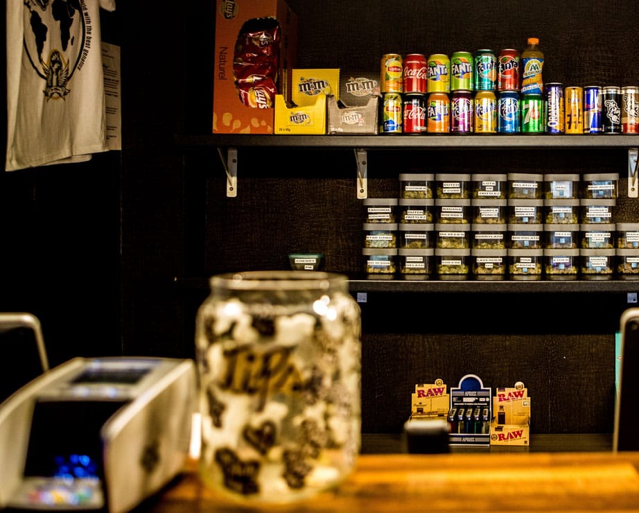 The Plug Coffeeshop Amersfoort photo 3