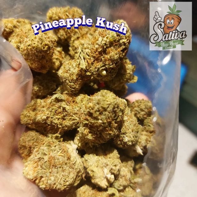 Coffeeshop Willie Wortel Sativa photo 4