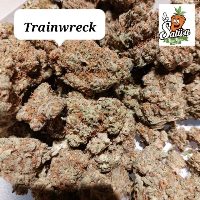 Coffeeshop Willie Wortel Sativa photo 3