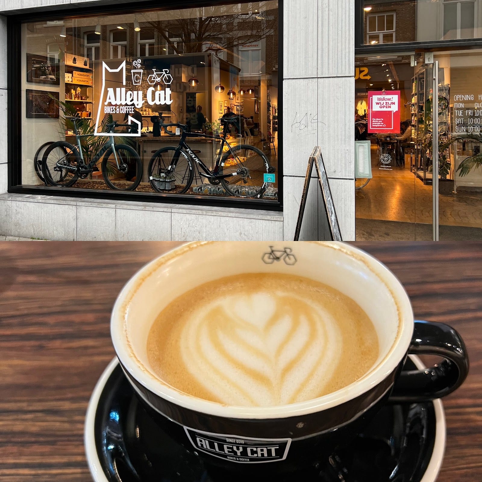 Alley Cat Coffee