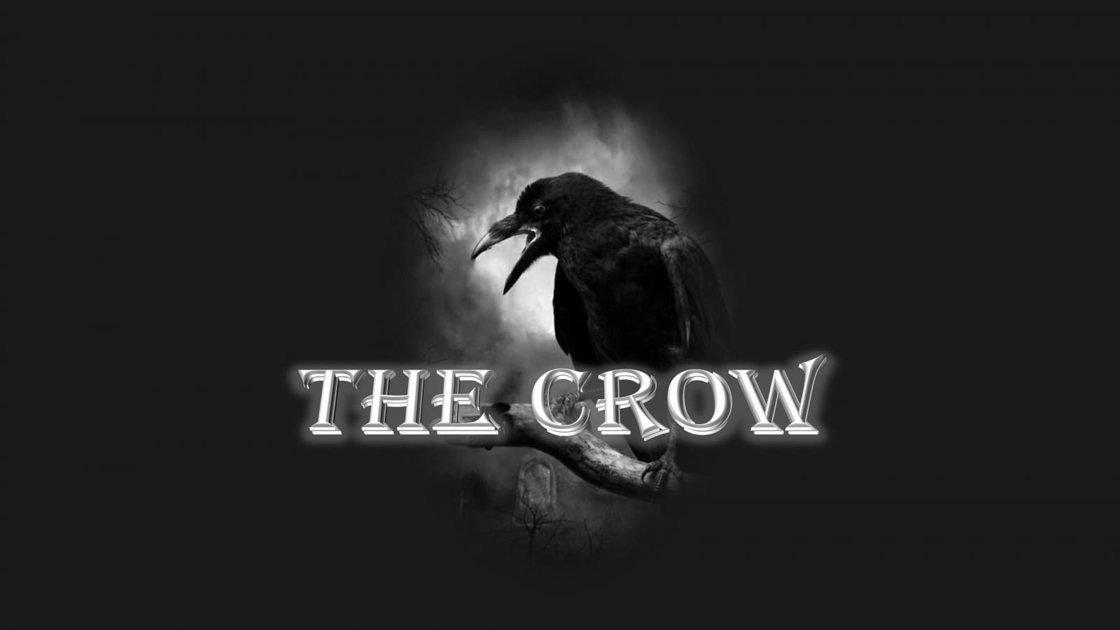 Coffeeshop The Crow photo 2