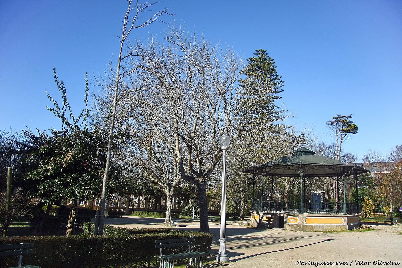 Macaca Café photo 2