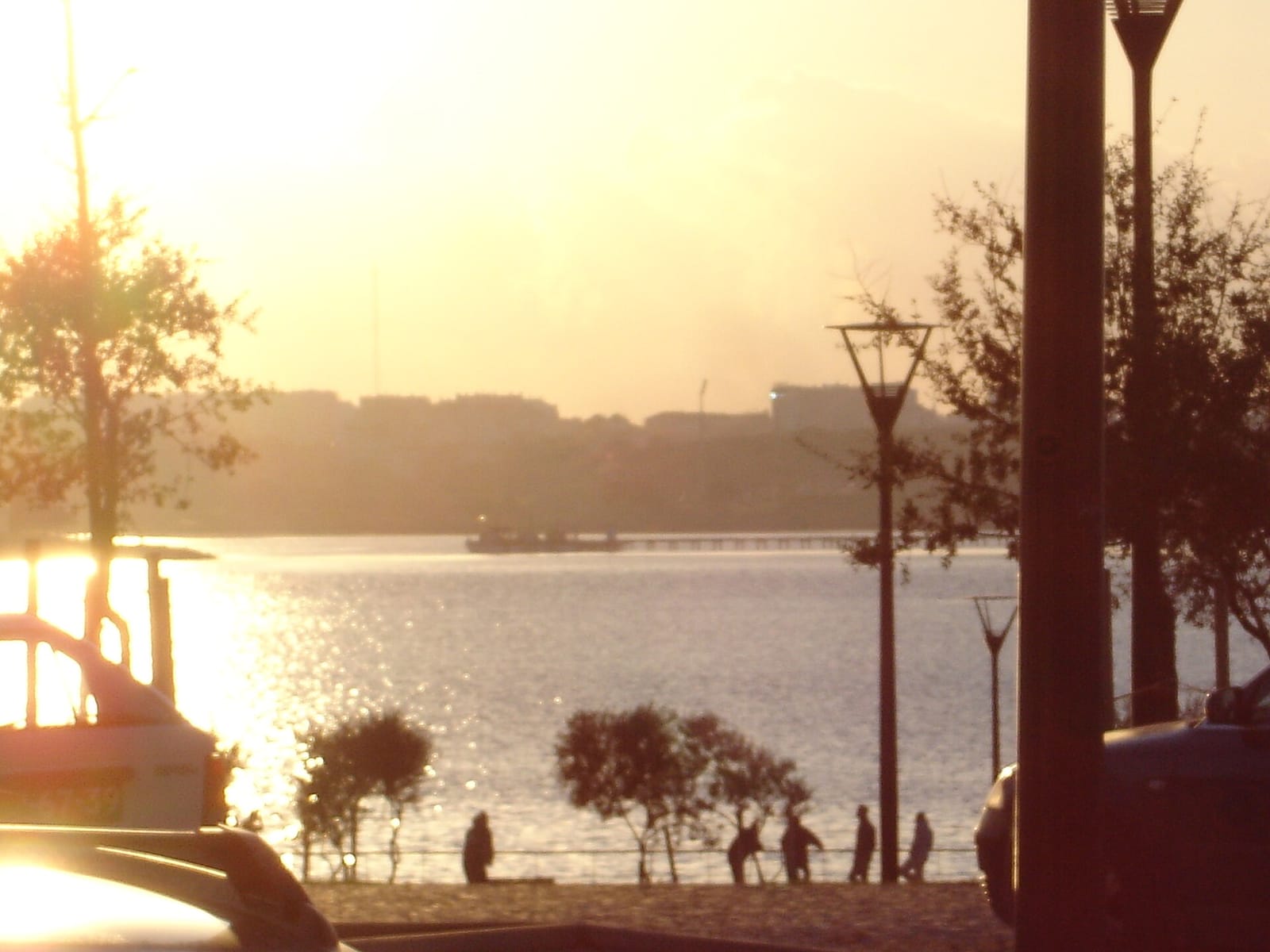 Cafe Teixeira (Sol Mar) photo 3