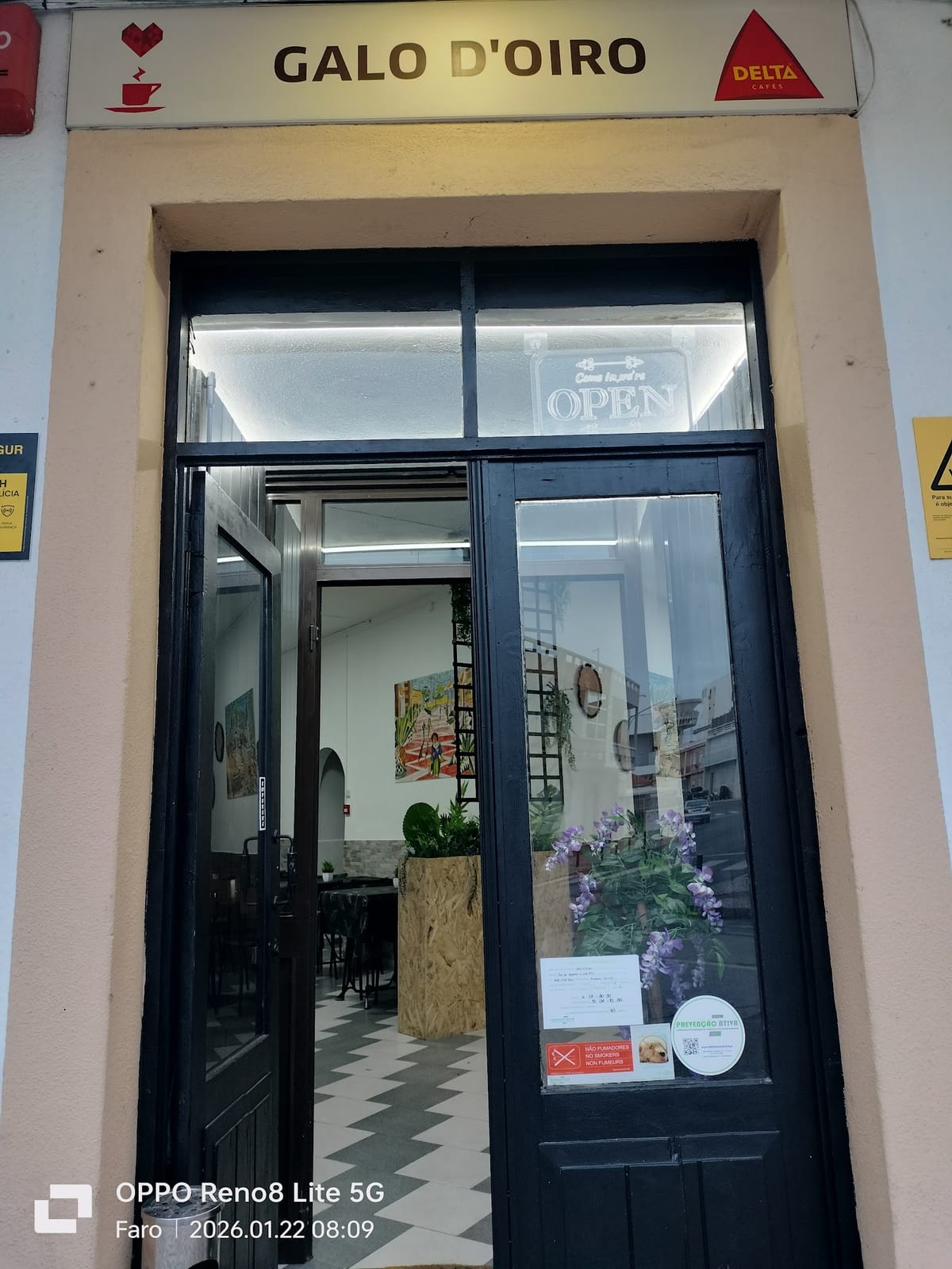 GALO D'OIRO