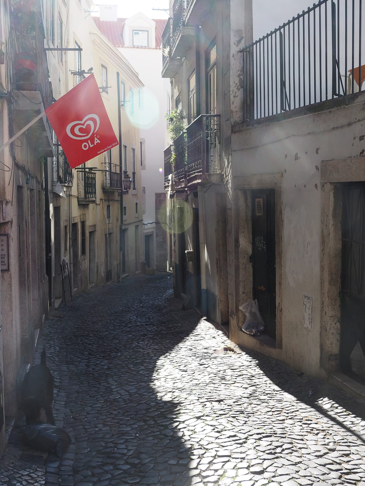 Quase Café photo 3