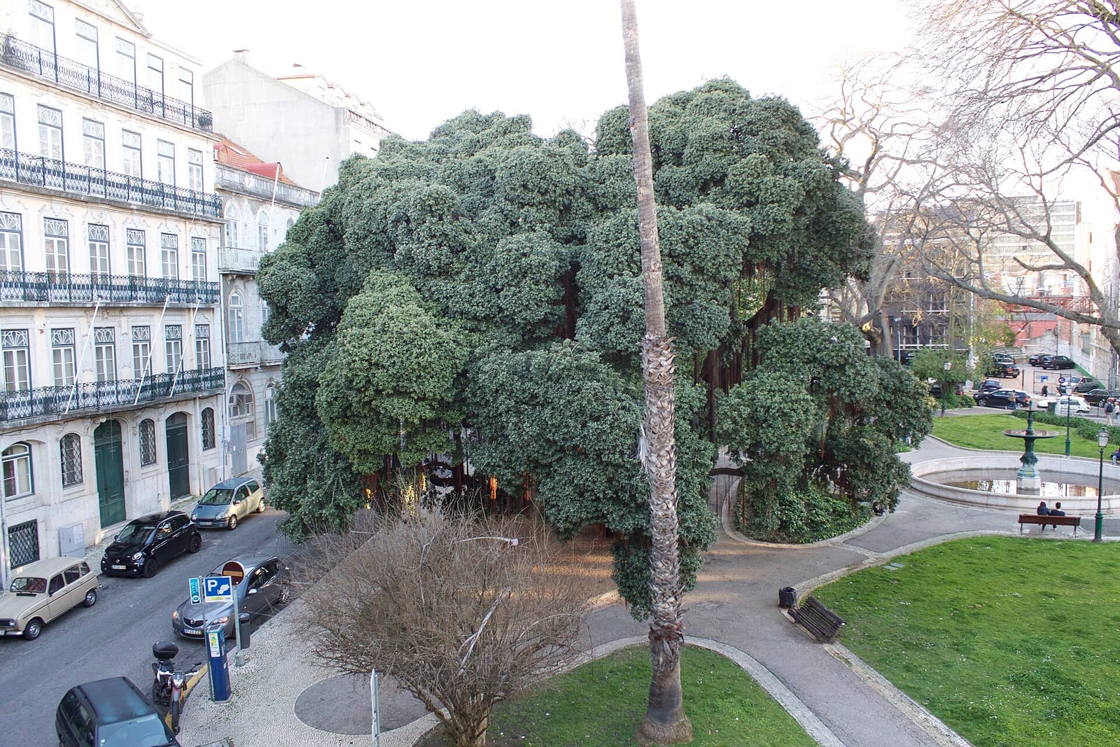 Seventh Brunch Lisboa photo 5