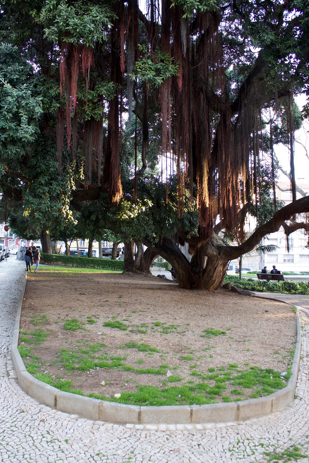 Seventh Brunch Lisboa photo 2