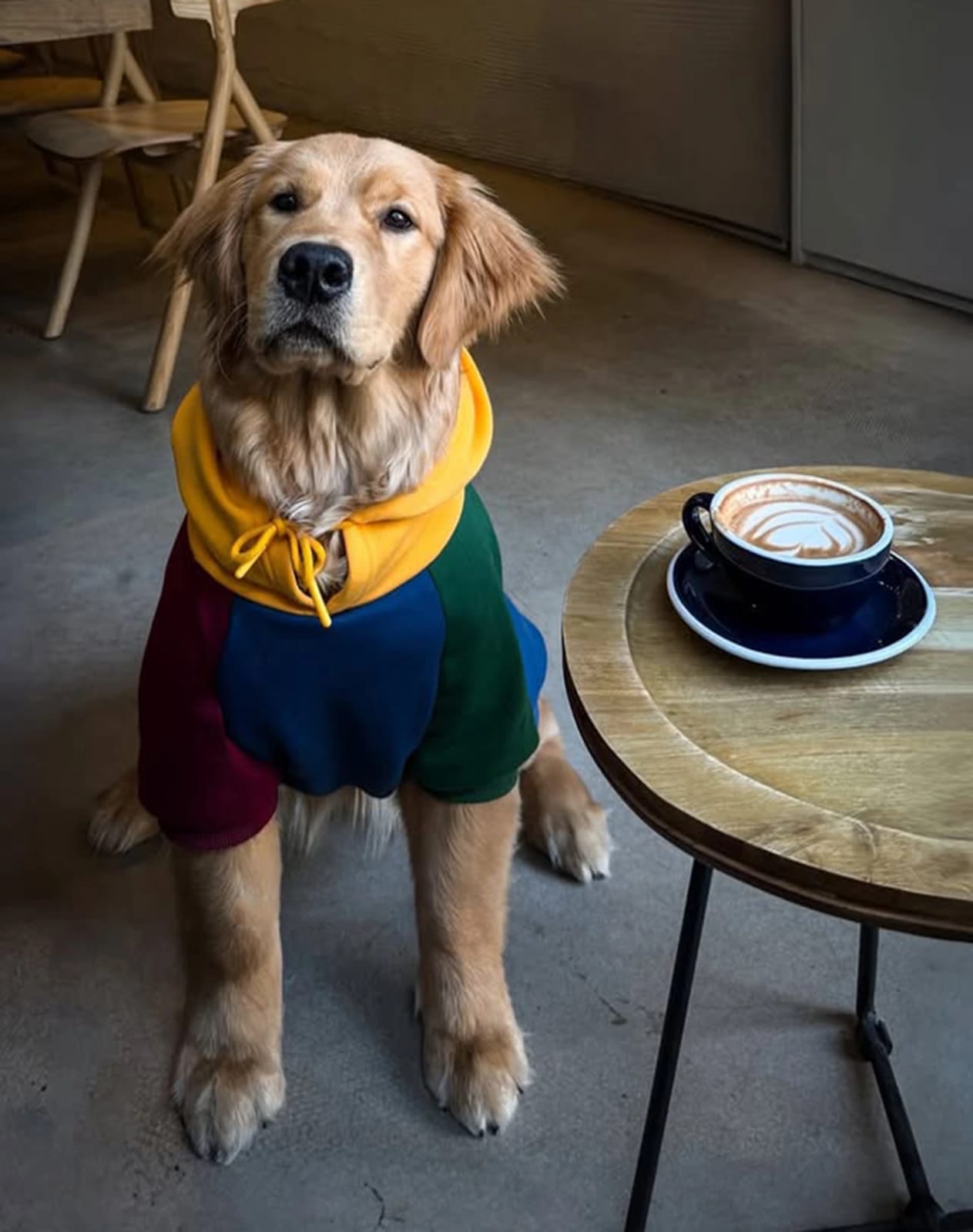 At Street.Coffee® - SPECIALTY COFFEE FOR ALL. photo 6