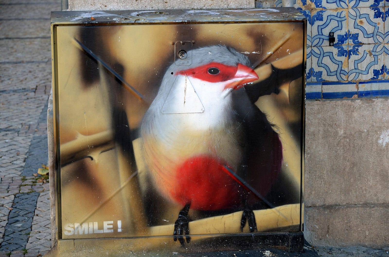 Favela Cafe Cultural & Specialty Tours (Portugal) photo 2