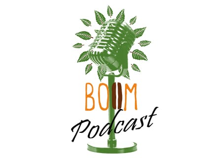 Boom photo 6